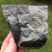 Lobocephalina emmrichi